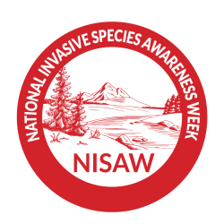 NISAW logo red