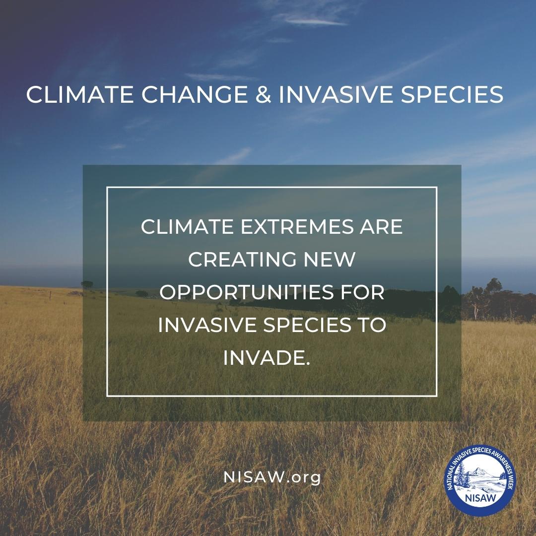 field in background with text "Climate Change & Invasive Species: Climate extremes are creating new opportunities for species to invade."