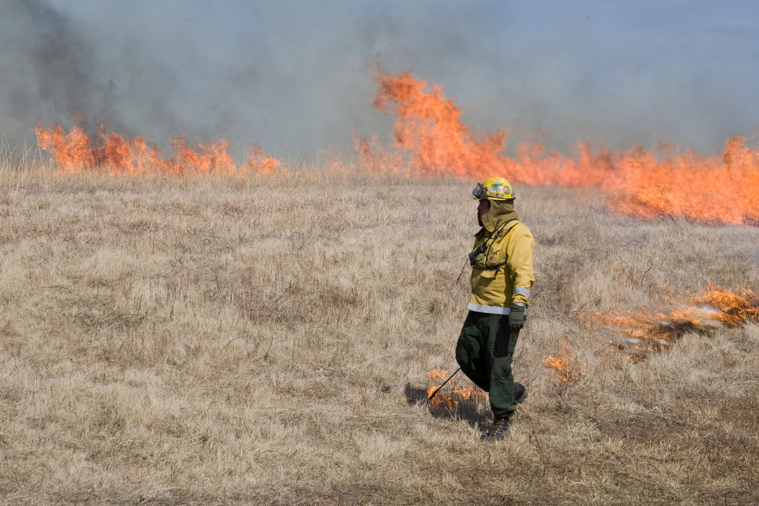 prescribed fire in background, person in yellows in foreground