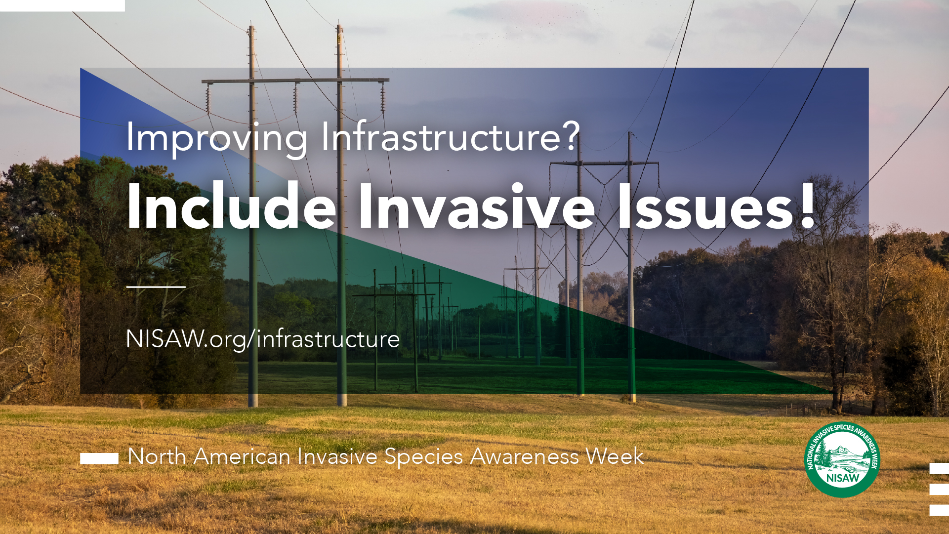 Improving Infrastructure? Include Invasive Issues!